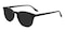 Cary Black Horn Acetate Sunglasses