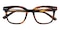 Aspen Brown Square Acetate Eyeglasses