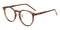 Glendale Tortoise Polygon TR90 Eyeglasses