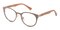 Pensacola Matte Brown Horn Stainless Steel Eyeglasses