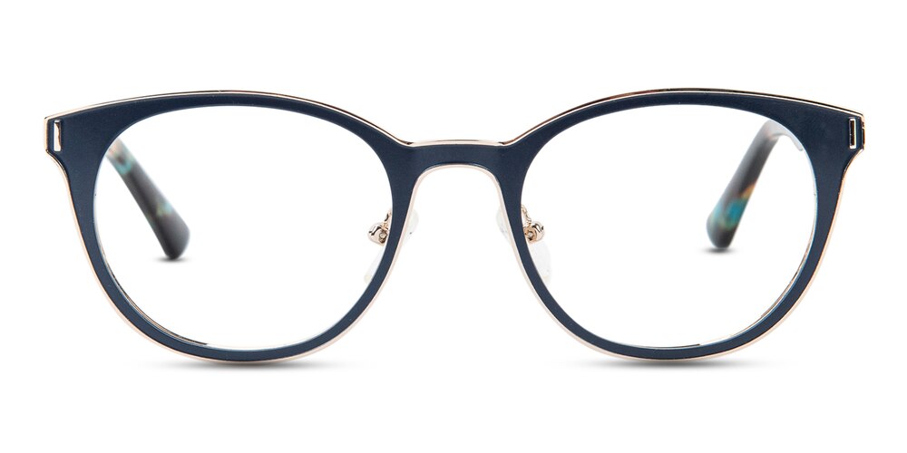 Pensacola Blue/Tortoise Horn Stainless Steel Eyeglasses