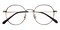 Regina Tortoise/Golden Round Titanium Eyeglasses