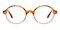 Everett Tortoise/Brown Round Acetate Eyeglasses