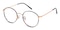 Hopkinsville Tortoise/Golden Round Titanium Eyeglasses