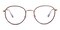 Joliet Gray/Golden Oval Acetate Eyeglasses