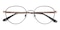 Dryden Black/Golden Oval Stainless Steel Eyeglasses