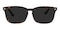 Clarence Tortoise Rectangle TR90 Sunglasses