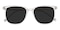 Richmond Crystal/Golden Classic Wayframe TR90 Sunglasses