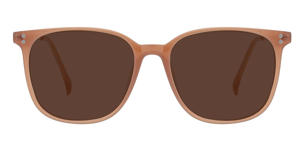 Richmond Brown/Golden Classic Wayframe TR90 Sunglasses