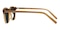 Texarkana Light Brown Classic Wayframe Acetate Sunglasses
