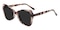 Sarah Petal Tortoise Cat Eye TR90 Sunglasses