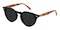 Williamsburg Black/Tortoise Round Acetate Sunglasses