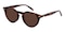Williamsburg Tortoise Round Acetate Sunglasses