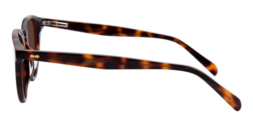 Williamsburg Tortoise Round Acetate Sunglasses