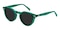 Williamsburg Green Round Acetate Sunglasses