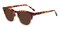 Yakima Tortoise/Brown Square Acetate Sunglasses