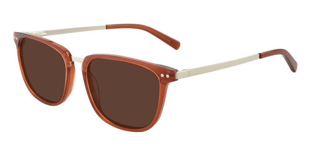 Tommy Brown/Silver Rectangle Acetate Sunglasses