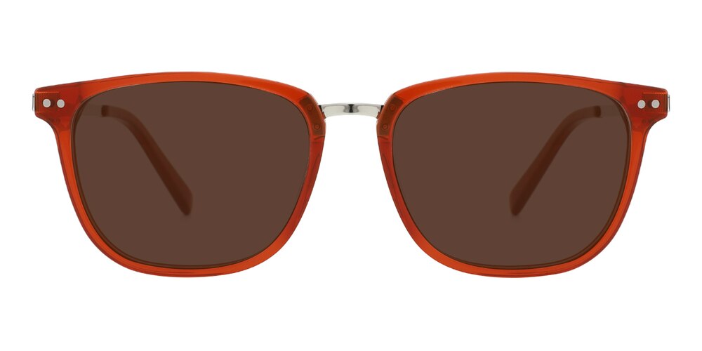 Tommy Brown/Silver Rectangle Acetate Sunglasses