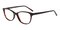 Kitty Tortoise Cat Eye Acetate Eyeglasses