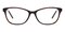 Kitty Tortoise Cat Eye Acetate Eyeglasses