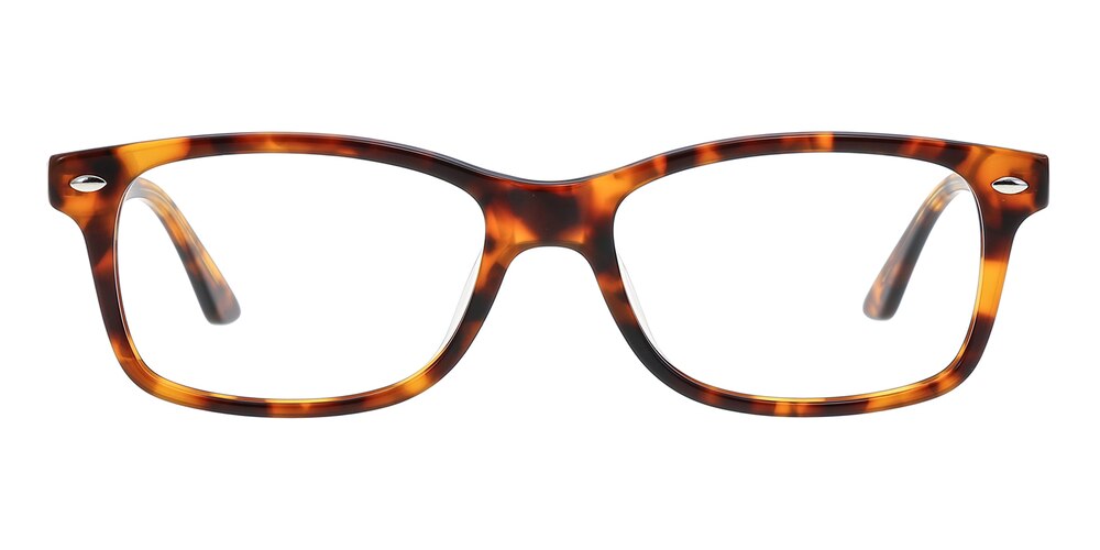 Gary Tortoise Rectangle Acetate Eyeglasses