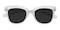 Renata Crystal Cat Eye TR90 Sunglasses