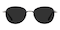 West Black/Gunmetal Aviator Acetate Sunglasses