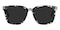 Schenectady Petal Tortoise/Golden Square Acetate Sunglasses