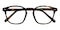 Birmingham Tortoise Oval TR90 Eyeglasses