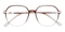 Rock Brown/Rose Gold Polygon TR90 Eyeglasses