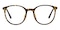 Elva Tortoise/Golden Round TR90 Eyeglasses