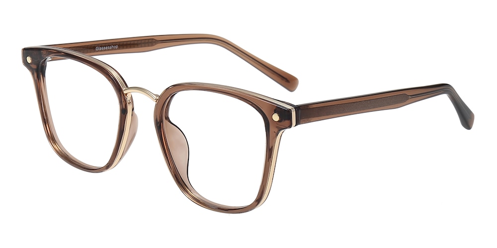 Southey Brown Square Acetate Eyeglasses