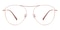 Gabrielle Rose Gold/Pink Aviator Titanium Eyeglasses