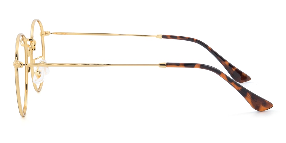 Torrance Black/Golden Round Metal Eyeglasses