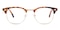 Pasadena Tortoise/Golden Oval TR90 Eyeglasses