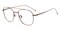 Warrenville Brown Aviator Titanium Eyeglasses
