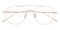 Warrenville Golden Aviator Titanium Eyeglasses