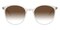 Berenice Crystal/Golden Round TR90 Sunglasses