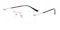AnnArbor Golden/Tortoise Rectangle Metal Eyeglasses