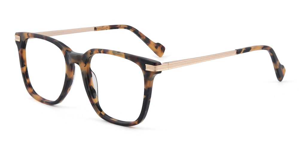 Memphis Tortoise/Golden Square Acetate Eyeglasses
