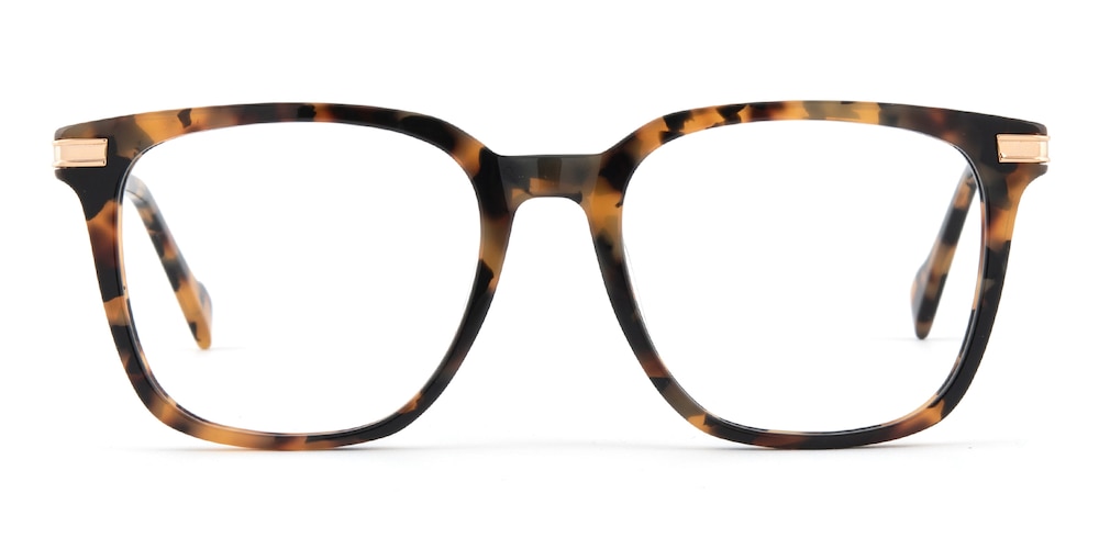 Memphis Tortoise/Golden Square Acetate Eyeglasses