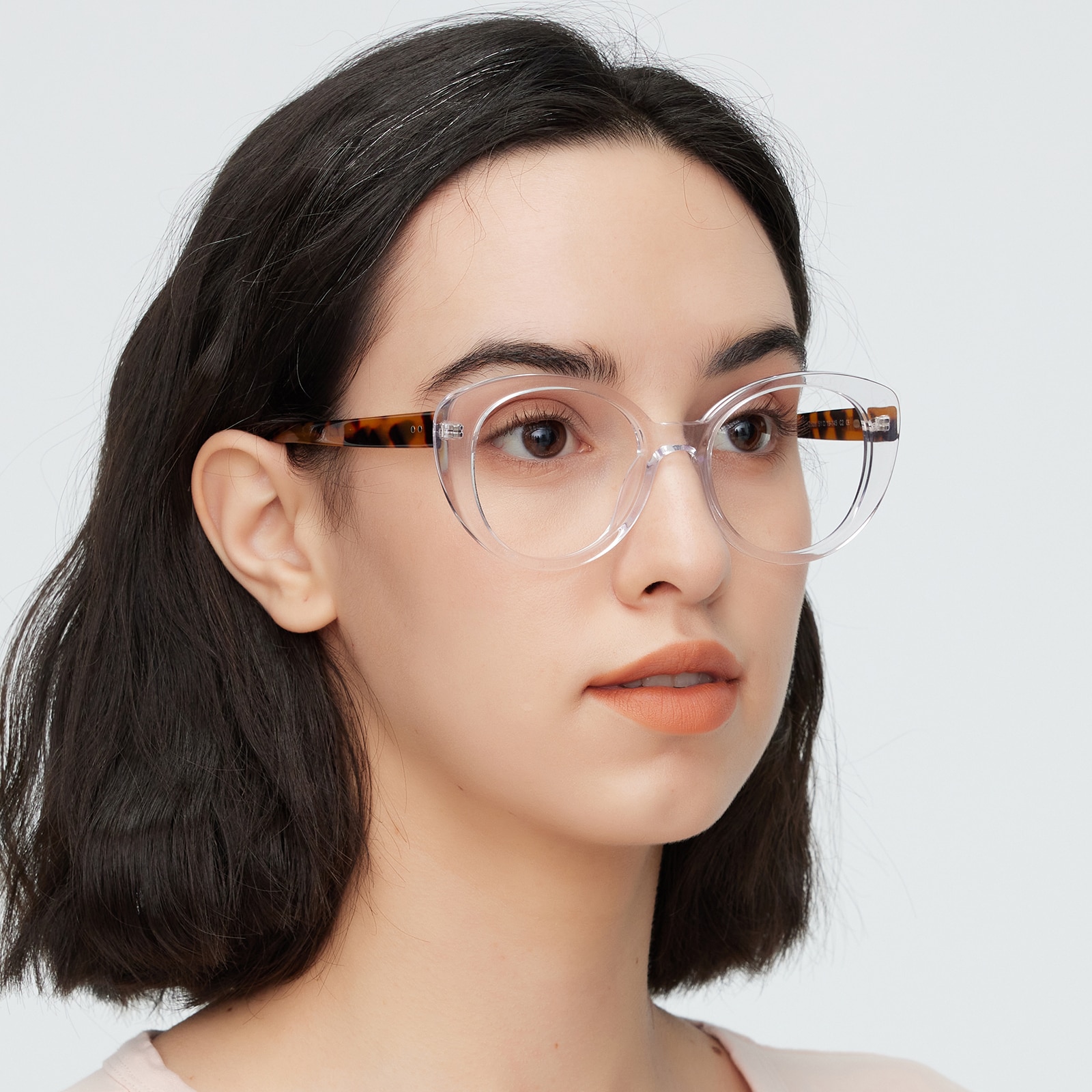 Oval Eyeglasses, Full Frame Crystal Plastic - FZ1982