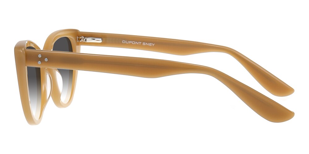 Smedley Candied Ginger Cat Eye Acetate Sunglasses