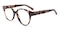Leigh Tortoise Cat Eye Acetate Eyeglasses