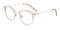 Muskegon Rose Gold/Pink Round Metal Eyeglasses