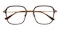 Hopkins Brown/Golden Polygon Titanium Eyeglasses