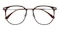 Kalamazoo Brown/Silver Round Titanium Eyeglasses