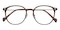 DesMoines Portabella/Silver Round Metal Eyeglasses