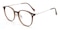 DesMoines Portabella/Silver Round Metal Eyeglasses