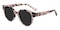 Gloria Petal Tortoise Oval Acetate Sunglasses
